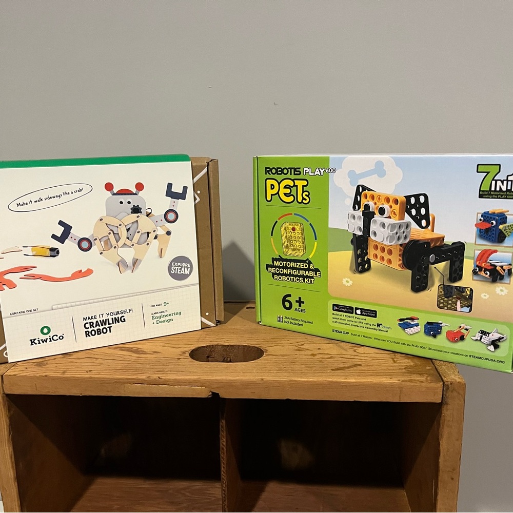 Robots Play Motorized Pet Kit